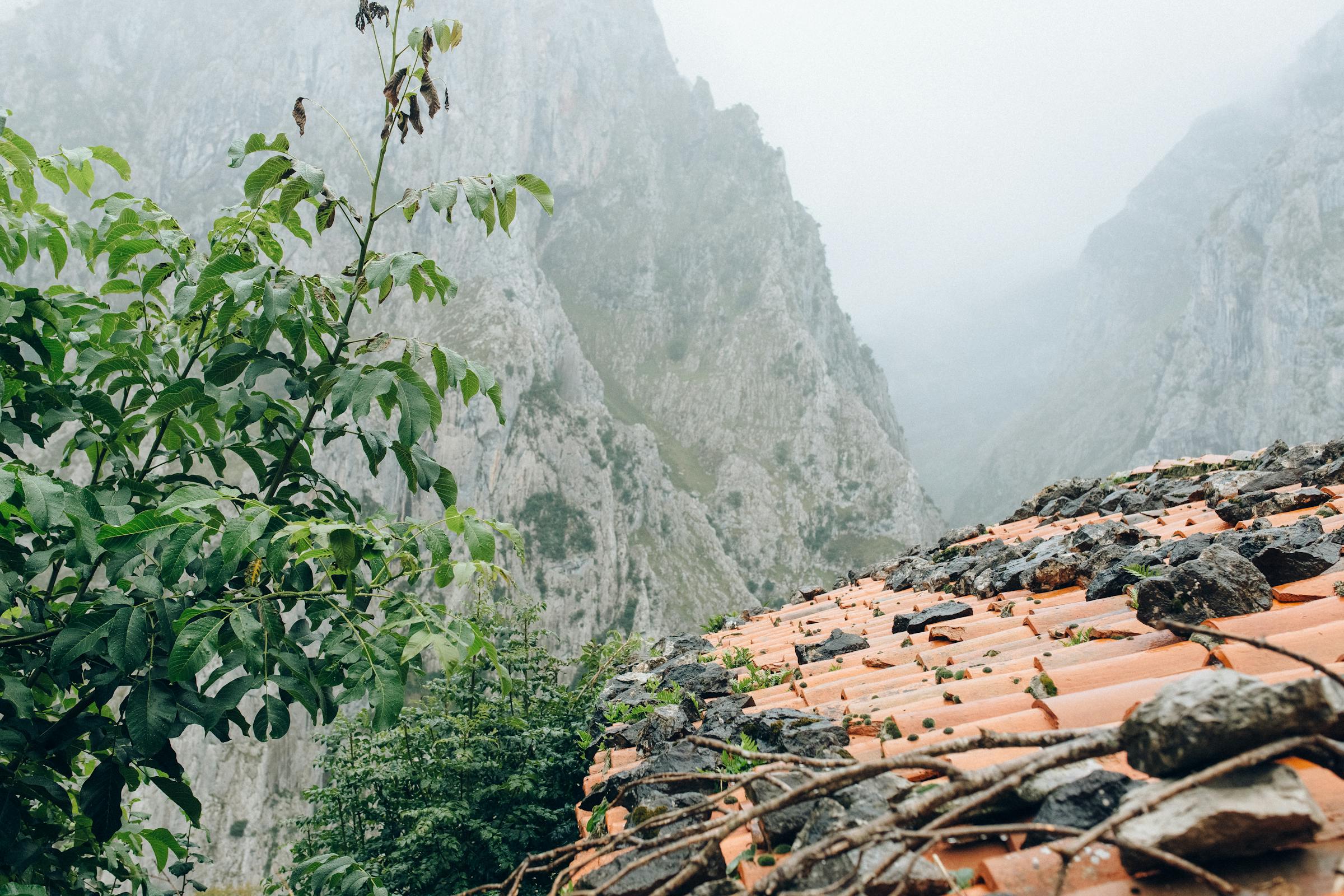 Unlocking the Future: Top High-Demand Careers and How to Land Them by 2025 - How to Get Hired Fast: The Complete Job Search Playbook